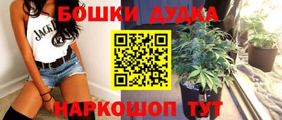 бошки Будённовск