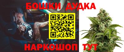 бошки Будённовск