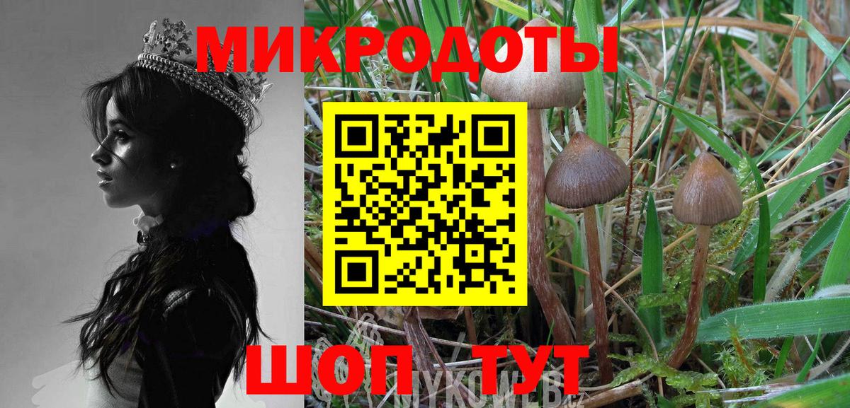 купить наркотик  Псилоцибиновые грибы MAGIC MUSHROOMS  Вход с VPN  Ахтубинск  Псилоцибиновые грибы мицелий 